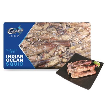 Calamari congelati dell'Oceano Indiano