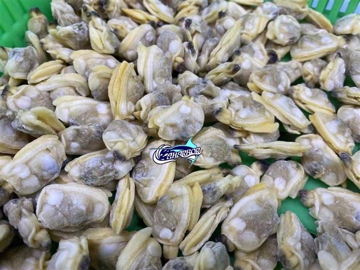 Frozen Asian Clam Meat