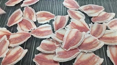 Come prevenire le malattie nelle tilapia?